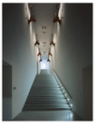 Treppenaufgang mit Hirschgeweihen, Liechtensteinisches Landesmuseum